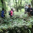 하나산전 이미지