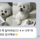 프프프 스토어 이미지