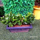 카페138일 이미지