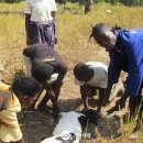 스스로함께지역아동센터 이미지