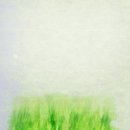 수원 98 수원일보
