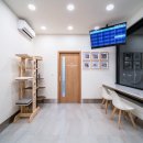 한결같은 동물병원 이미지