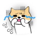 달래캐터리 이미지