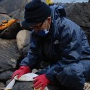 군포문화원 이미지