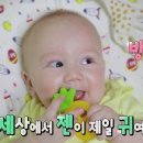 폴로하우스