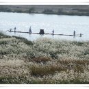 바람이 머무는 집 이미지