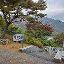충주 가볼만한 곳 충주호 크루즈 장회나루 청풍크루즈 후기