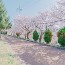 부춘산체육공원 이미지