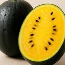 선녀농장 이미지