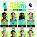 [오피셜] PL 11월 이달의 골 후보.gif 이미지