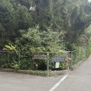 노이하우스 민박 | 스위스 Day 4-6 [인터라켄, 그린델발트, 패러글라이딩]