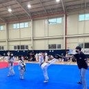 다온연무관합기도 이미지