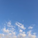 술펑취펑 이미지