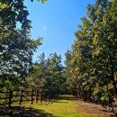 안동문화의집 이미지