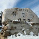 박경옥축사 Daum카페