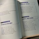 메타사피엔스 이미지