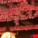 토라 평택역점 이미지