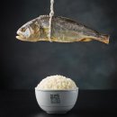 고래밥상 이미지