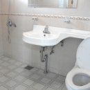 바다파파 이미지