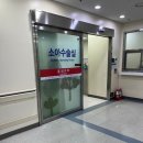 유미세탁 | 서울대 소아외과 윤중기 교수 신생아 서혜부 탈장 복강경 수술 입원 준비물 feat 비용 및 보험청구