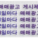 개인화물3148 Daum카페