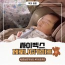 태우하우스 | [내돈내산] 신생아&amp;아기 카시트 추천!! 싸이벡스 제로나GI 카시트 후기
