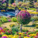 &#34;이런 곳이 한국에 있었어?&#34;… 국화·단풍·유럽풍 정원까지 한번에 즐기는 가을 명소 이미지