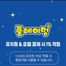 광주 애견유치원 애견호텔 플레이멍 이미지