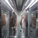 광산-비아-광산-50 이미지