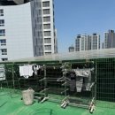 장원리빙텔 이미지