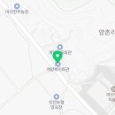 마산1로 느티나무길 이미지