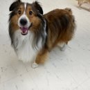 이든유치원 이미지