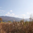 낙동강자전거길7 이미지