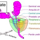 올바른비뇨의학과의원 이미지