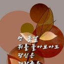 행복한 하루 이미지