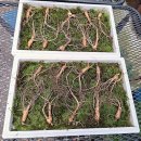 녹색자원 이미지