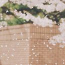 크림약국 이미지