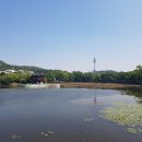 두류공원 이미지