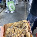 봄약국 앞 이미지