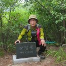 터골옆 | 춘천지맥 제7구간 모래재(사현)에서 소주고개까지 산행후기