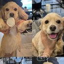 단비넷PC방 이미지