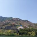 흐르는 강물을 바라 이미지