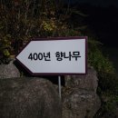 강남동-9 이미지