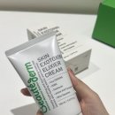 덤 | 진정과 속광까지 잡은 보떼덤 엘리시어 라인 후기