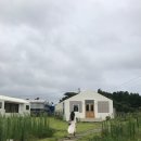 신풍리 신풍교회(공부방) 주차장 | 제주 감성 카페, 에그타르트가 맛있는 아줄레쥬(Azulejo)