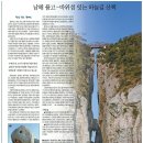 관매도 후박나무 | 관매도 탐방 (조도지역 해설사) 후기