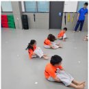 태비태권도 이미지