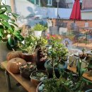 빵카페 이야기 이미지