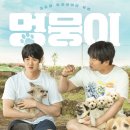 멍뭉이네 이미지