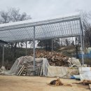 아마존 한증막 이미지